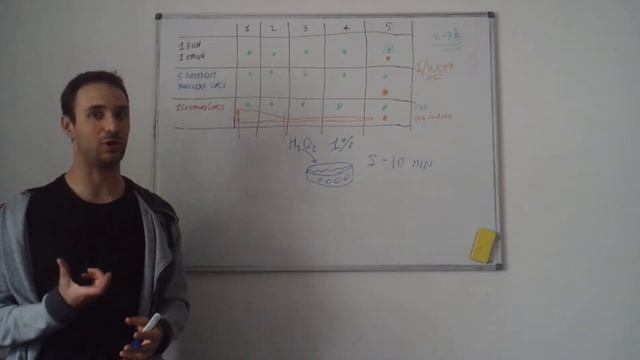 How Can I Collect The Eggs?