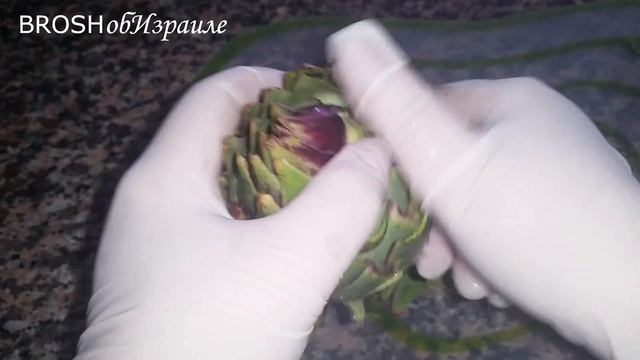395.Как очистить артишок?И что это за фрукт:)) Израиль смотреть онлайн
