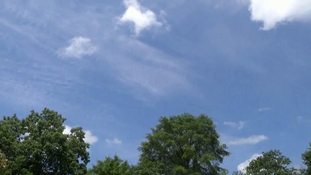 Речка Моленная и природа, Южное Приморье, июнь 2021 г. смотреть онлайн