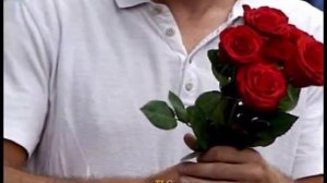 Строптивая Андрей Шпехт ( муз. и сл. А.Шпехт)