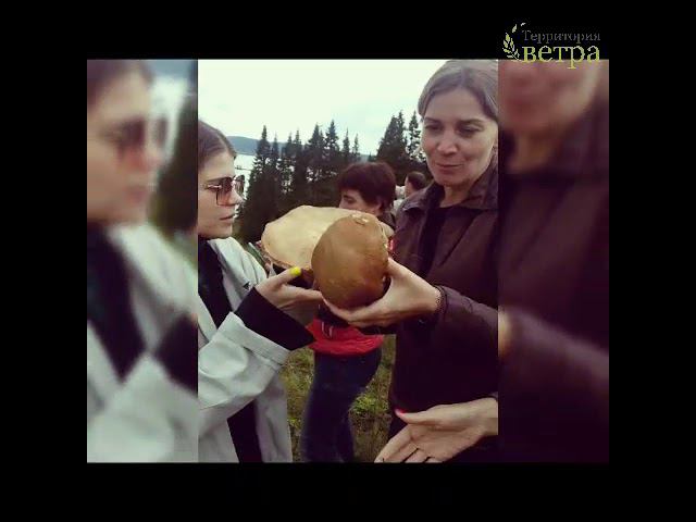 Экскурсии по Уралу из Екатеринбурга с Территория ветра смотреть онлайн