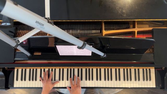 Brave Shine ~ Fate/Stay Night:Unlimited Blade Works arr Animenz-Piano Lesson/Tutorial w/Richard Yan смотреть онлайн
