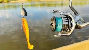 ЛОВИТ КРУПНОГО ОКУНЯ Рыбалка в Астрахани Ловля на спиннинг