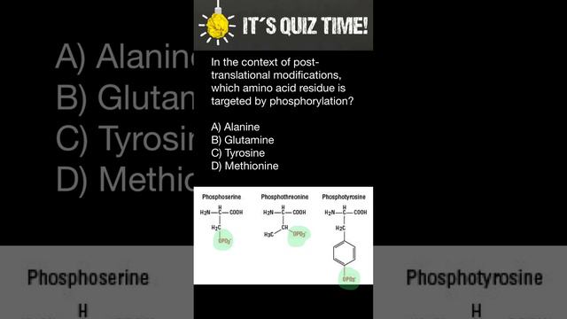 Phosphorylation of Amino acids смотреть онлайн