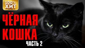 Блатная Лирика - Чёрная кошка 2 - Лирика Шансона 2020
