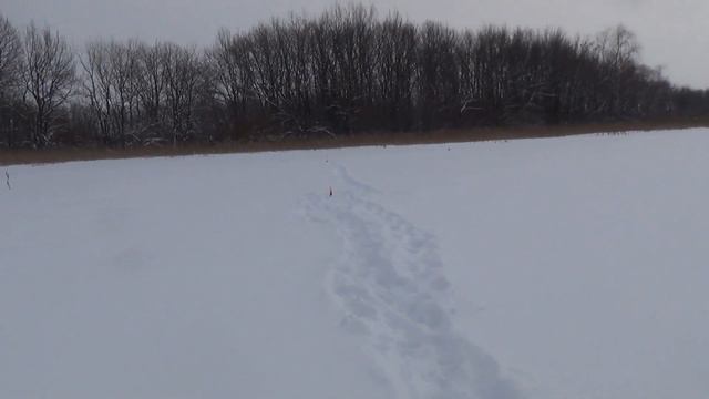 Рыбалка на щуку в глухо-зимье смотреть онлайн