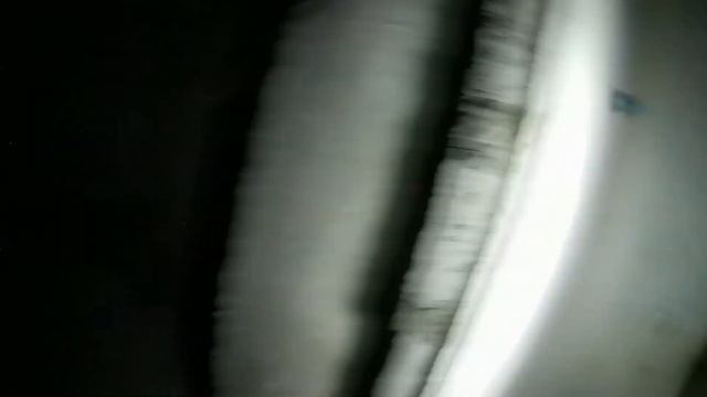 Кинотеатр «Гагра» \ Жуткий подвал \ Летучие мыши смотреть онлайн