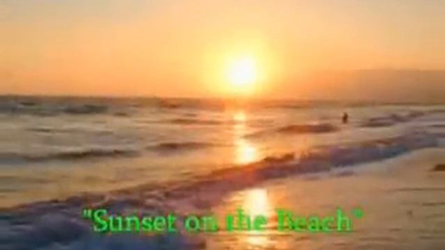 Copy of The Fat Mann Judgeth - Brett Hull Hockey '95.flv смотреть онлайн