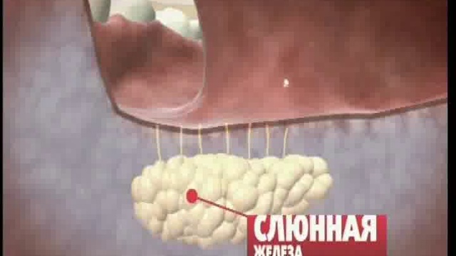 Ты: инструкция к применению. Слюни смотреть онлайн