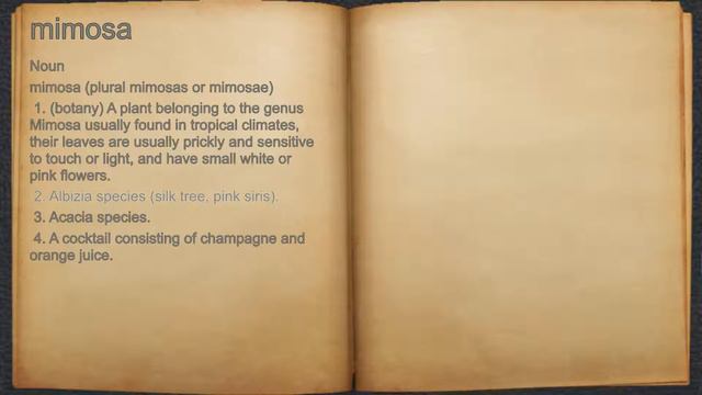 What does mimosa mean? смотреть онлайн