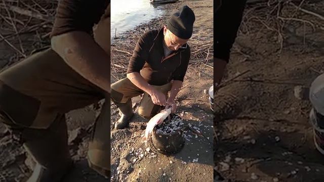 Обь нижний Сузун 2018 смотреть онлайн