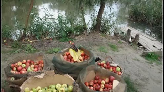 Вилково - город на воде.avi смотреть онлайн