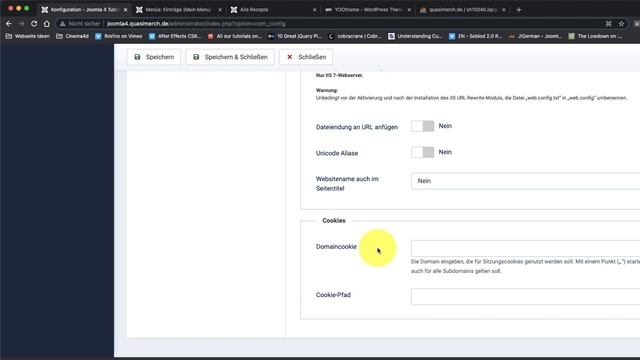 Joomla 4 Grundlagen: 1.8 - System Optionen: Konfiguration смотреть онлайн