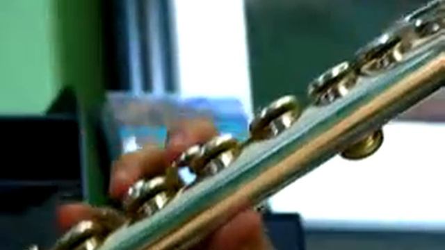 Gemeinhardt 10AS Used Alto Flute - Video Sample смотреть онлайн