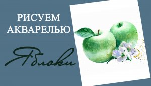 Как нарисовать реалистичное яблоко акварелью. Демонстрация процесса рисования зеленого яблока