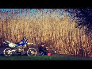 Ловля воблы, сопы (синца), густеры. Закидушка. Ловля на червя. Вечерняя рыбалка. Мото рыбалка.