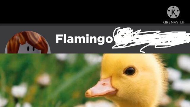 Flamingo ENGLISH Roblox Usernames Pt. 2/2 смотреть онлайн