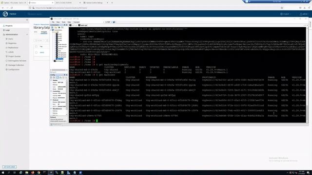 Managing Custom Certificates on TKG Clusters and Cluster API Provisioned Kubernetes Clusters смотреть онлайн