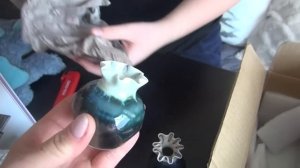 Открываем потерянные посылки по $5! Находки СУПЕР! Удачная  распаковка посылок в Канаде