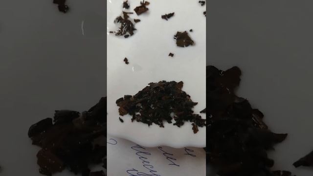 сказ что получат англосаксы и тайные общества, если не дадут украинцам и россиянам выйти за мир. смотреть онлайн