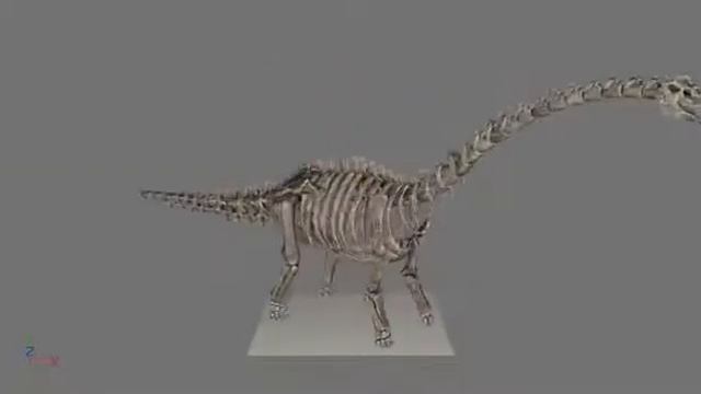 ARK Survival Evolved 3d Models+animations 5 (.c4d)