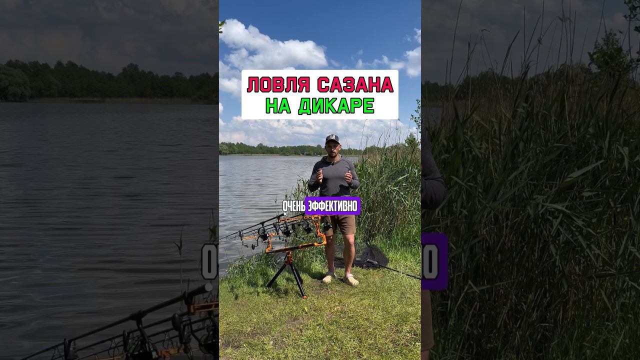 Полезно когда ловите на дикаре #карпфишинг смотреть онлайн