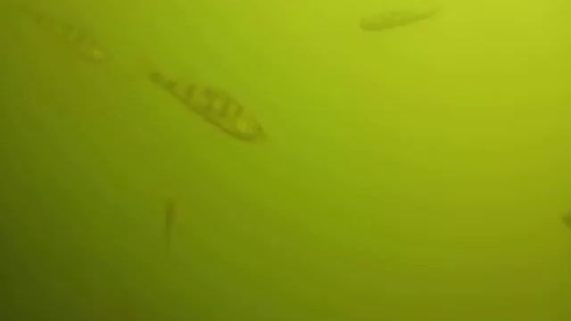 Подводное видео река Ячменка