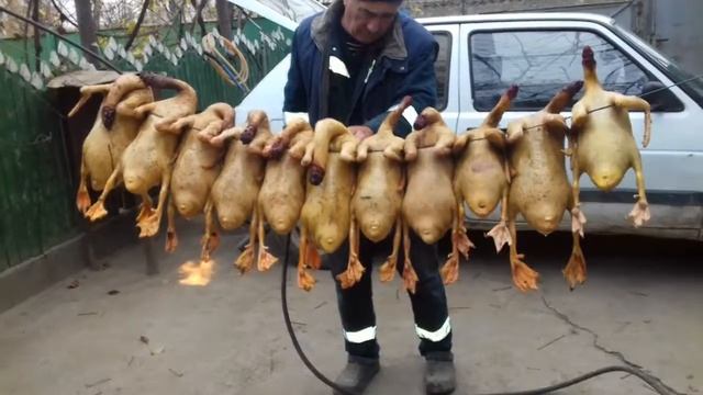 Папа и гуси смотреть онлайн