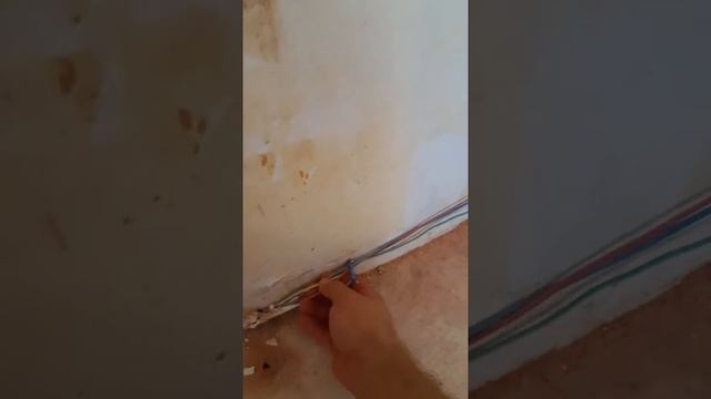 подключение розеток от щитовой и их разводка по комнате во Франции смотреть онлайн