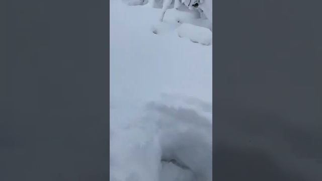 Вот такая зимняя сказка в НОЖАЙЮРТОВСКОМ районе.Видео от подписчика.Просто для настроения смотреть онлайн