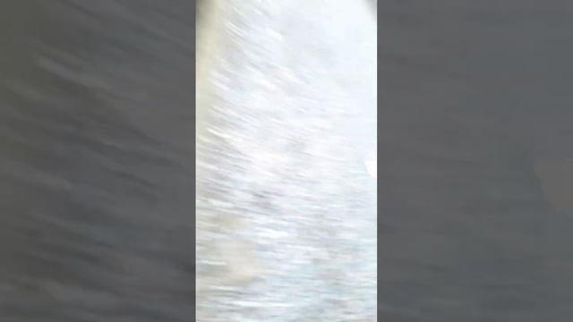 история про сибе и пр Школы короткий😊 смотреть онлайн