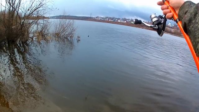 Ловля СОМА ВЕСНОЙ! ОРИЕНТИР(приметы) когда клюёт сома ВЕСНОЙ!