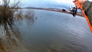 Ловля СОМА ВЕСНОЙ! ОРИЕНТИР(приметы) когда клюёт сома ВЕСНОЙ!