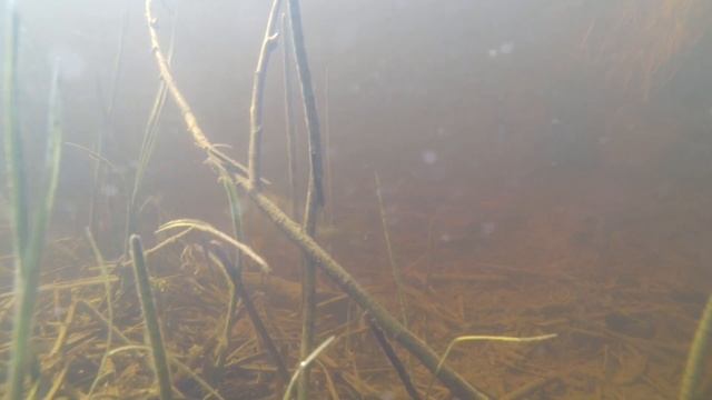 SPbait. Щука на джиг смотреть онлайн