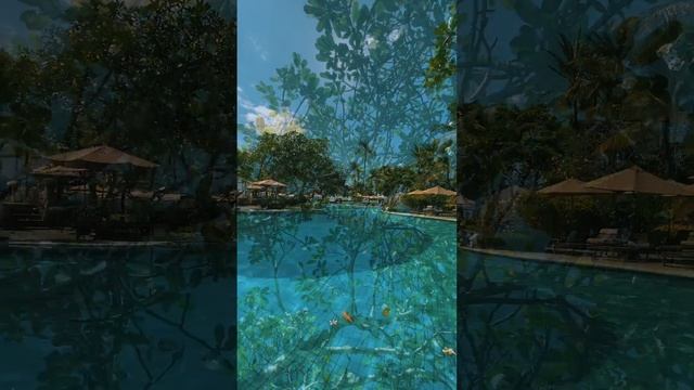 Мечты сбываются смотреть онлайн