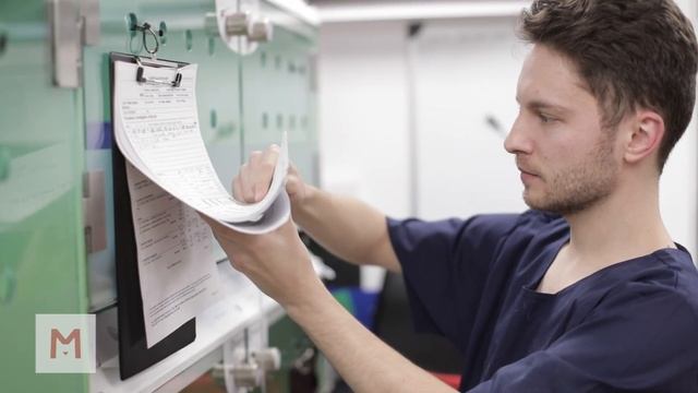 Costin Iacob – Medivet Veterinary Surgeon смотреть онлайн