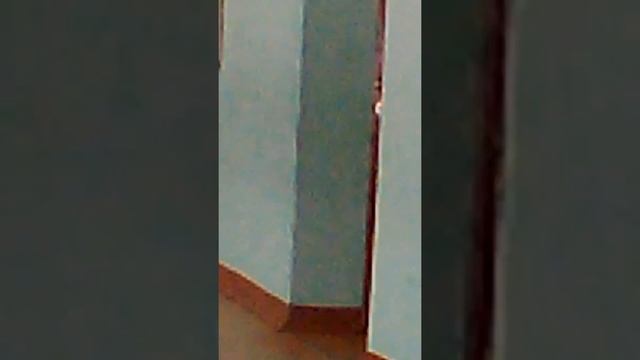 За мной бежит зомби смотреть онлайн