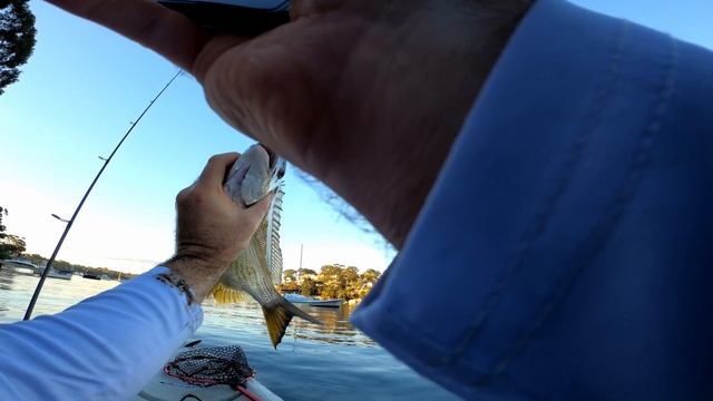 Massive Bream with Bio Bait Soft Plastic Lures смотреть онлайн