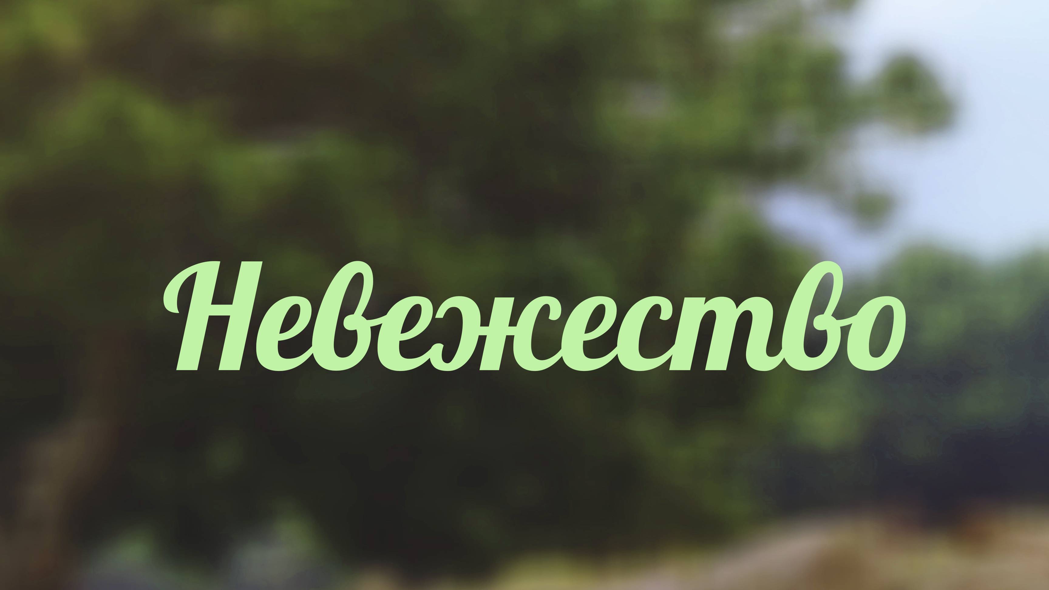 BS217 Rus 20. Невежество и современность