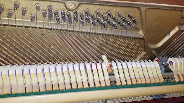 Hear Piano Note F#2 смотреть онлайн