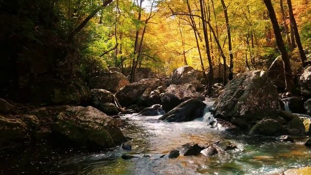 Горная речка Урала смотреть онлайн