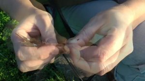 Как правильно насадить червя на крючок.