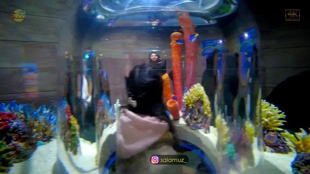 Magic Аквариум в Ташкенте | Magic Aquarium in Tashkent смотреть онлайн
