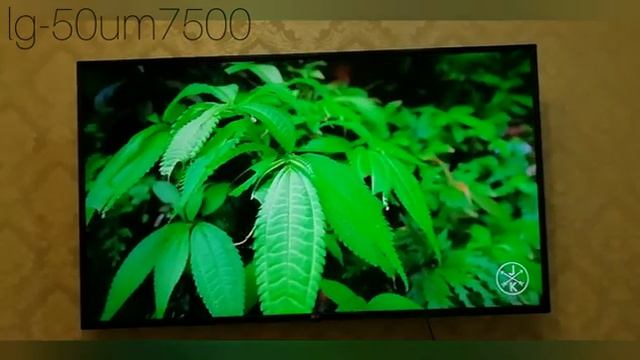 LG - 50UM7500PLA (4К UHD) + FORKPLAYER. смотреть онлайн