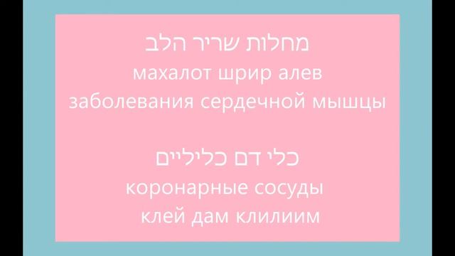 #8. МЕДИЦИНСКИЙ ИВРИТ - КАРДИО смотреть онлайн