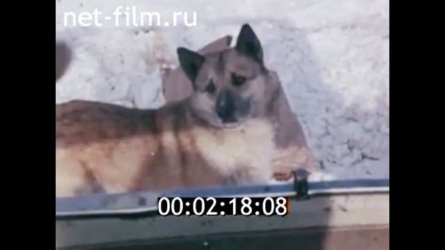 1977г. река Мезень. село Лешуконское. Архангельская обл. смотреть онлайн