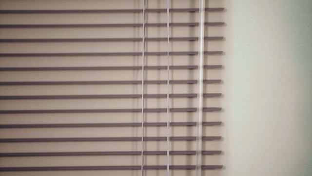 Как правильно пользоваться горизонтальными жалюзи системы холис