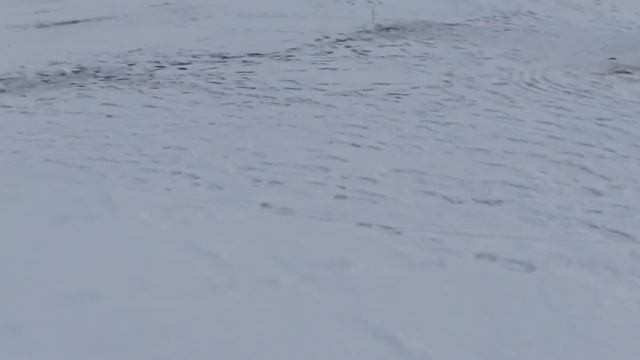 Окунь номер 9. 15 февраля. Рузское водохранилище. смотреть онлайн