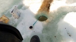 Карась в апреле на озере Кенон!