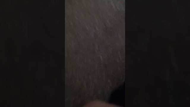 Ругаю ботинок за то что он не одевается смотреть онлайн